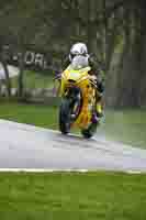 Advanced Group Yellow Bikes